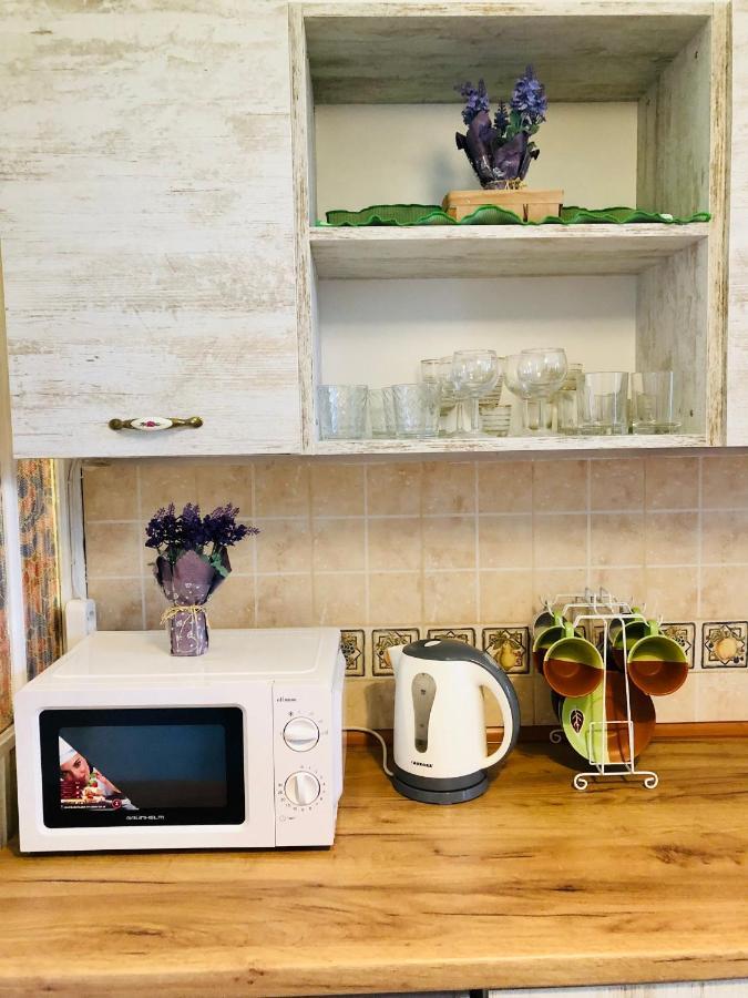 Vintage Apartment 2 Rooms With Balcony リヴィウ エクステリア 写真